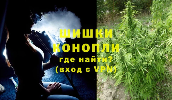 apvp Рославль